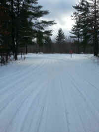 American_Oak-Resort_Trail_Feb042015_19.jpg (2282646 bytes)