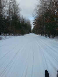 American_Oak-Resort_Trail_Feb042015_20.jpg (2513940 bytes)