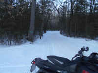 American_Oak-Resort_Trail_Feb192015_05.JPG (465194 bytes)