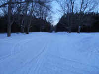 American_Oak-Resort_Trail_Feb192015_08.JPG (478676 bytes)