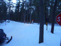 American_Oak-Resort_Trail_Feb192015_09.JPG (476139 bytes)