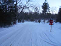 American_Oak-Resort_Trail_Feb192015_11.JPG (471890 bytes)