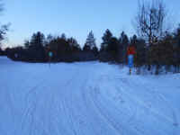 American_Oak-Resort_Trail_Feb192015_14.JPG (476369 bytes)