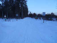 American_Oak-Resort_Trail_Feb192015_15.JPG (463533 bytes)