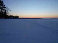 American_Oak-Resort_Trail_Feb192015_17.JPG (450132 bytes)