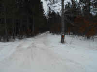 American_Oak-Resort_Trail_Jan202014_08.JPG (462685 bytes)