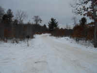 American_Oak-Resort_Trail_Jan202014_09.JPG (479970 bytes)