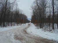 American_Oak-Resort_Trail_Jan202014_11.JPG (452275 bytes)