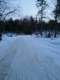 American_Oak-Resort_Trail_Jan252014_04.jpg (1866304 bytes)