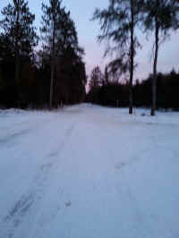 American_Oak-Resort_Trail_Jan252014_14.jpg (1802710 bytes)