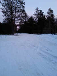 American_Oak-Resort_Trail_Jan252014_15.jpg (1939706 bytes)