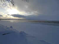 Lake_Jan092014_01.JPG (450959 bytes)