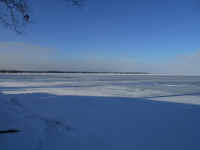 Lake_Jan152014_06.JPG (446285 bytes)