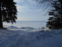 Lake_Jan152014_08.JPG (470994 bytes)