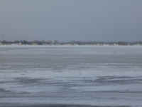 Lake_Jan152014_11.JPG (475270 bytes)