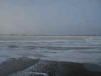 Lake_Jan152014_12.JPG (470672 bytes)