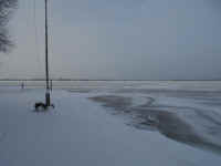 Lake_Jan152014_15.JPG (438886 bytes)