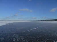 Lake_Jan152014_25.JPG (457347 bytes)