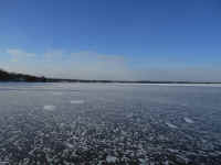 Lake_Jan152014_29.JPG (472988 bytes)
