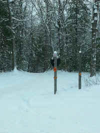 Trail_05042015_02.JPG (357664 bytes)