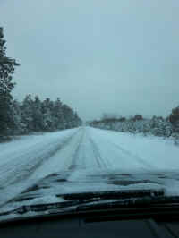 Trail_05042015_04.JPG (188014 bytes)