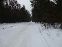 12-22-5.JPG (5099134 bytes)