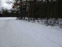 12-23-4.JPG (3452460 bytes)