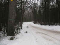 12-26-6.JPG (5683128 bytes)