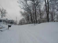 snow 12-6-3.JPG (471272 bytes)