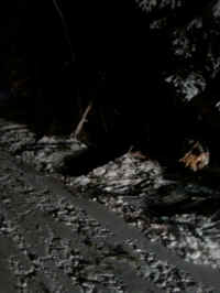 02-25-2.jpg (772587 bytes)