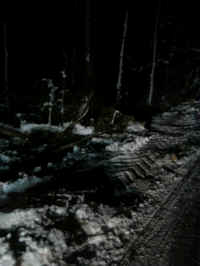 02-25-4.jpg (746395 bytes)