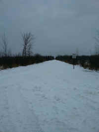 20160204_095439_resized.jpg (836186 bytes)