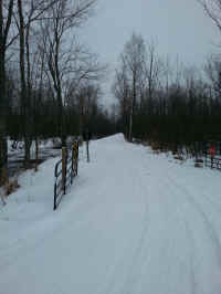 20160204_095727_resized.jpg (1310888 bytes)