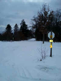 20160204_174958_resized.jpg (890483 bytes)