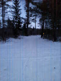 20160204_180138_resized.jpg (1529300 bytes)