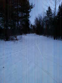 20160204_180144_resized.jpg (1416466 bytes)