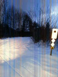 20160204_180723_resized.jpg (1653938 bytes)