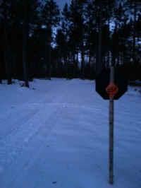 20160204_181016_resized.jpg (956534 bytes)