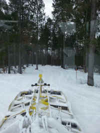 20160205_140041_resized.jpg (1308218 bytes)