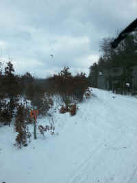 20160205_140055_resized.jpg (1078652 bytes)