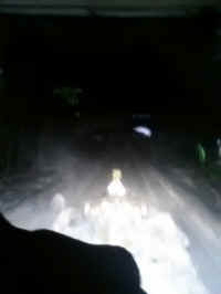 20160227_032711_resized.jpg (95334 bytes)