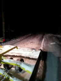 655 Pond Lake before tree.jpg (799657 bytes)