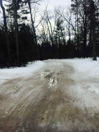 Owens 1.jpg (302962 bytes)