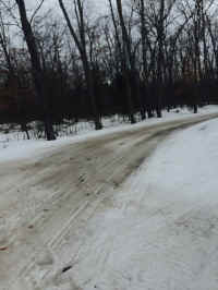 Owens 2.jpg (137278 bytes)