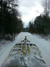 So You Want to Be A Groomer 1.jpg (1447131 bytes)