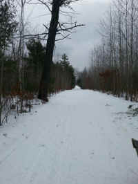 So You Want to Be A Groomer 3.jpg (1337699 bytes)