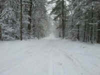 20160110_144913.jpg (405111 bytes)