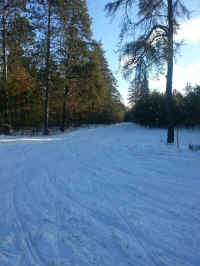 20160116_094217.jpg (272018 bytes)