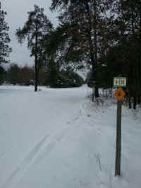 20160119_103110_resized.jpg (702457 bytes)