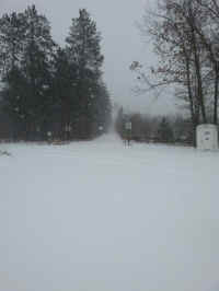 20160301_152525_resized_1.jpg (1179989 bytes)